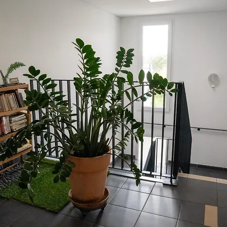 Apartamento De L'espiguette *