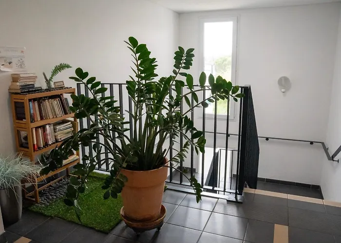 Apartamento De L'espiguette *