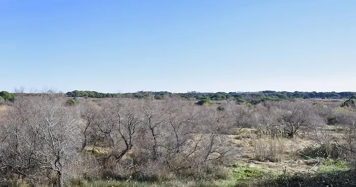 De L'espiguette * Le Grau-du-Roi