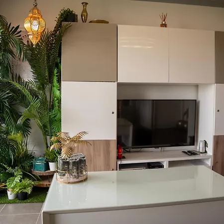 De L'espiguette Apartment Le Grau-du-Roi